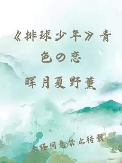 《排球少年》青色の恋